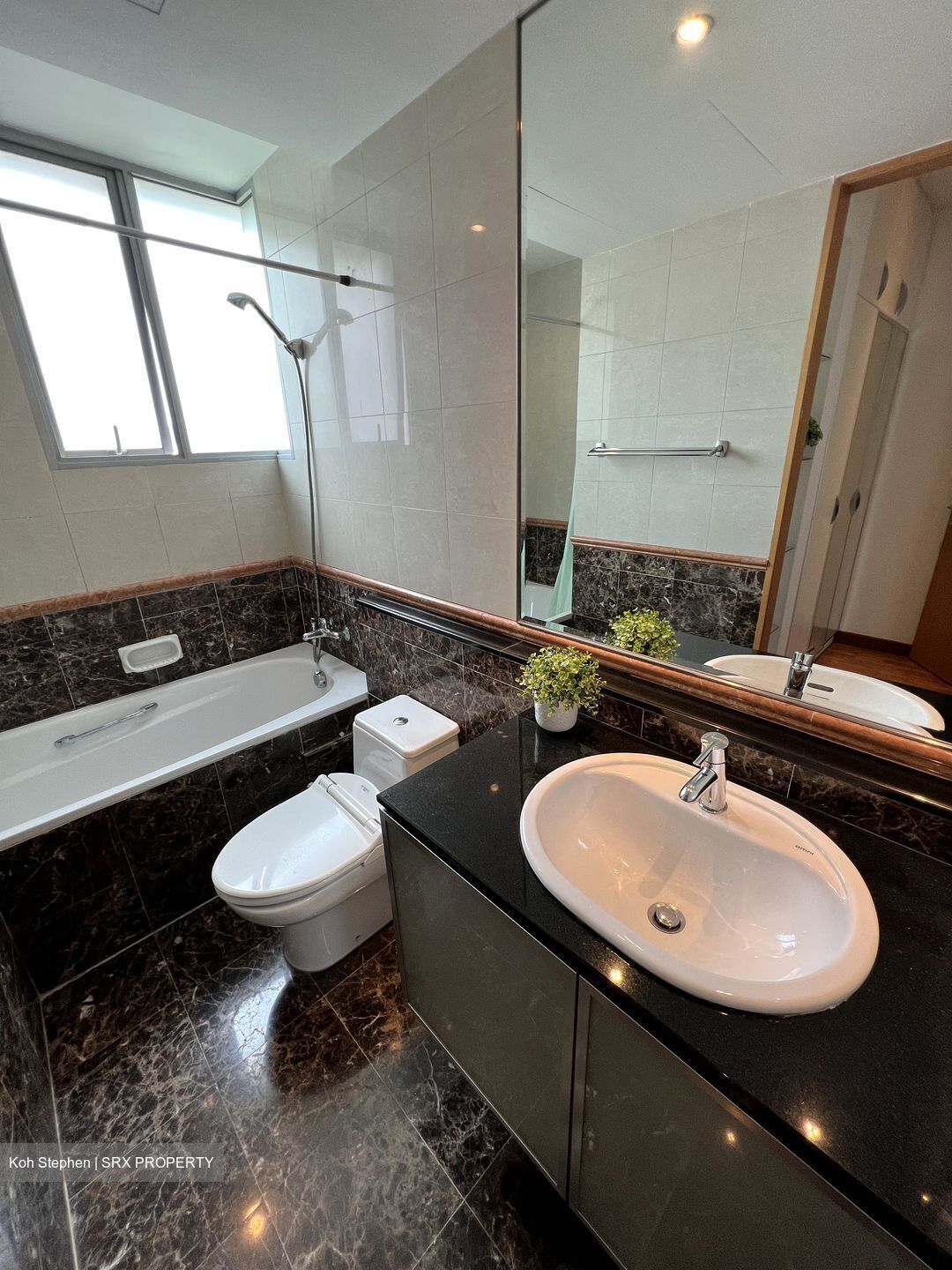 Thomson Euro-asia (D11), Condominium #523168901